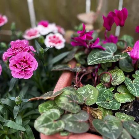 Natura Cantabria * Santillana del Mar