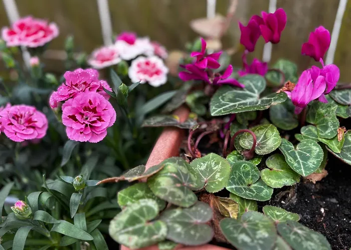 Natura Cantabria * Santillana del Mar