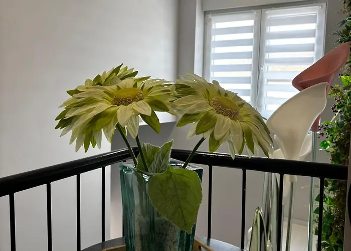 Natura Cantabria * Santillana del Mar