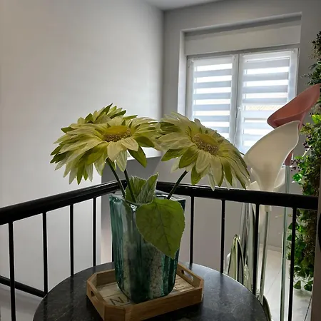 Natura Cantabria * Santillana del Mar